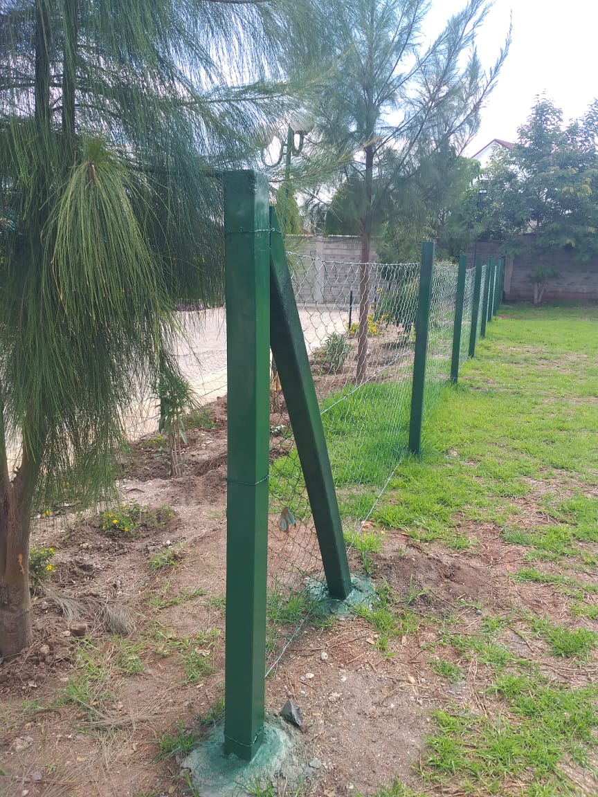 WhatsApp Image 2023-06-28 at 19.13.57